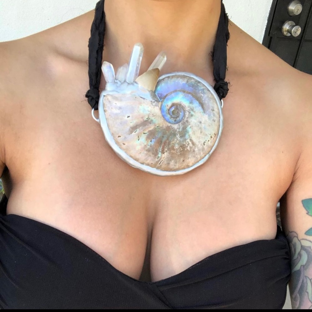 Large ammonite with quartz and masosaur tooth